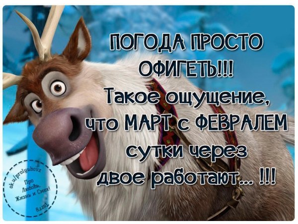 свен холодное сердце