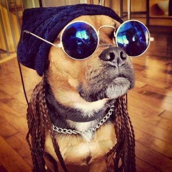 Прикольные на аву