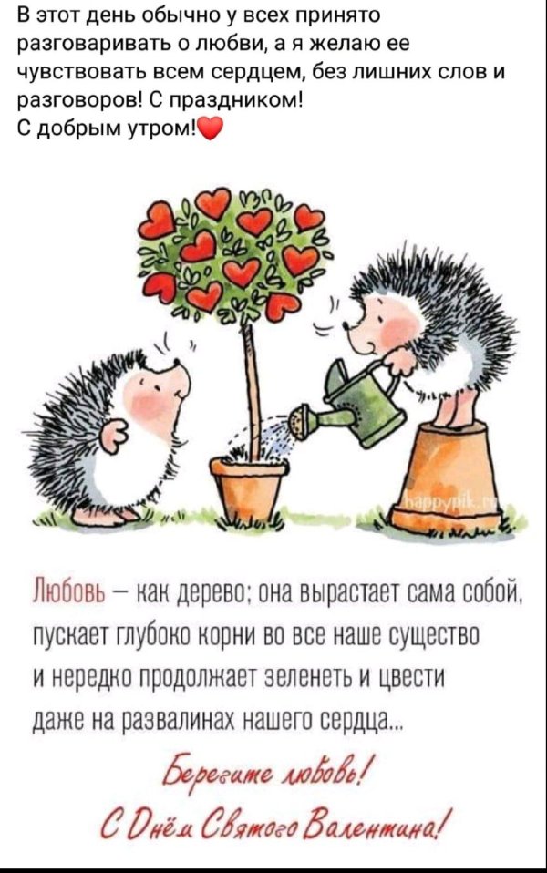 ежики любовь