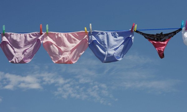 труселя женские