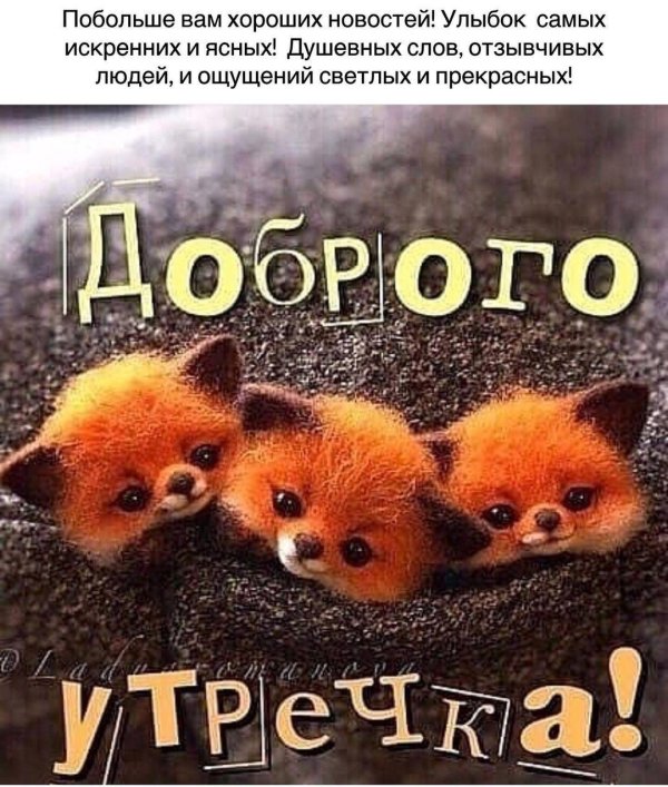 лисенок милый