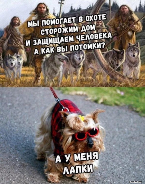 приколы с надписью