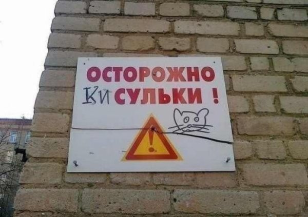 осторожно кисульки