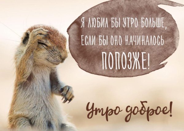 довольный суслик