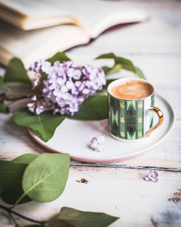 чай и сирень