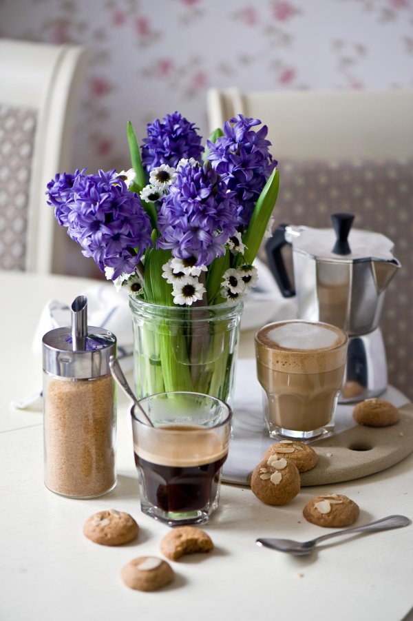 гиацинты в интерьере