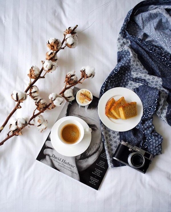 стильный утро