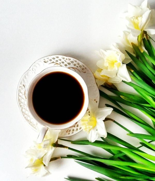 с добрым утром нарциссы