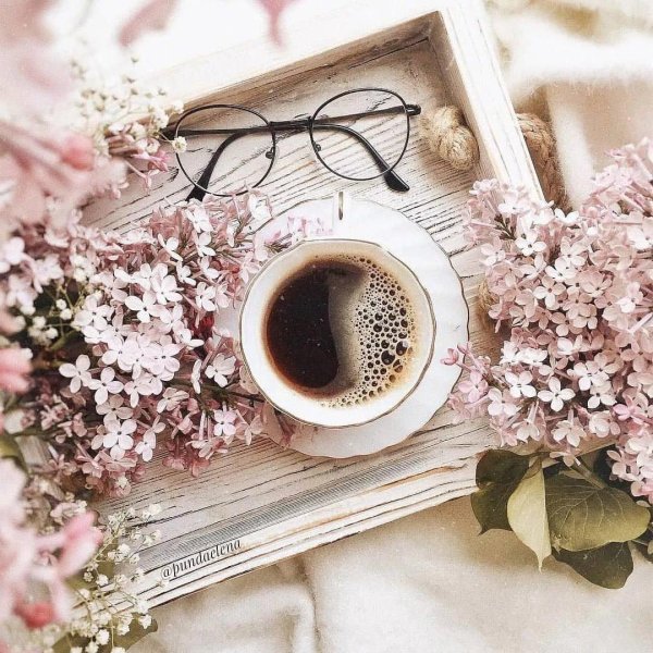 доброго утра стильные