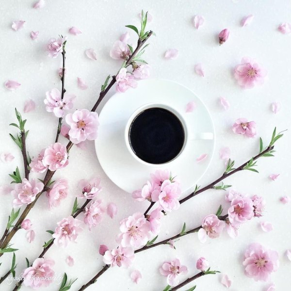 доброго утра стильные