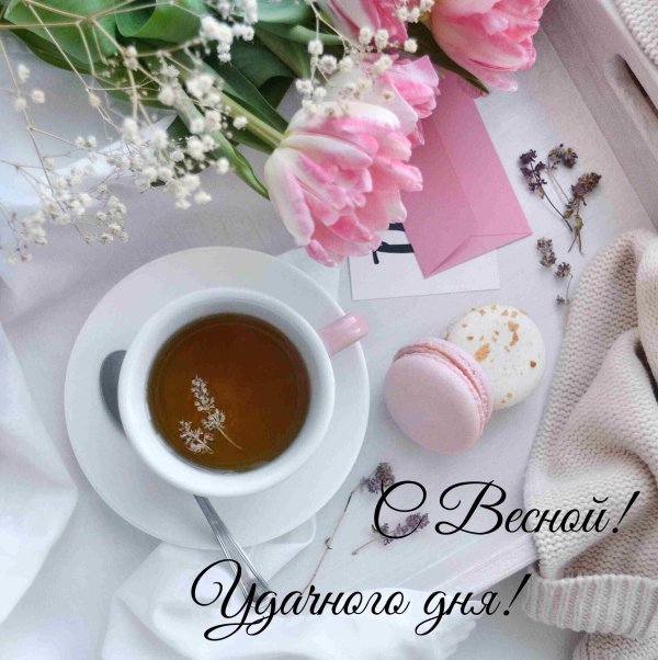 доброго утра весна