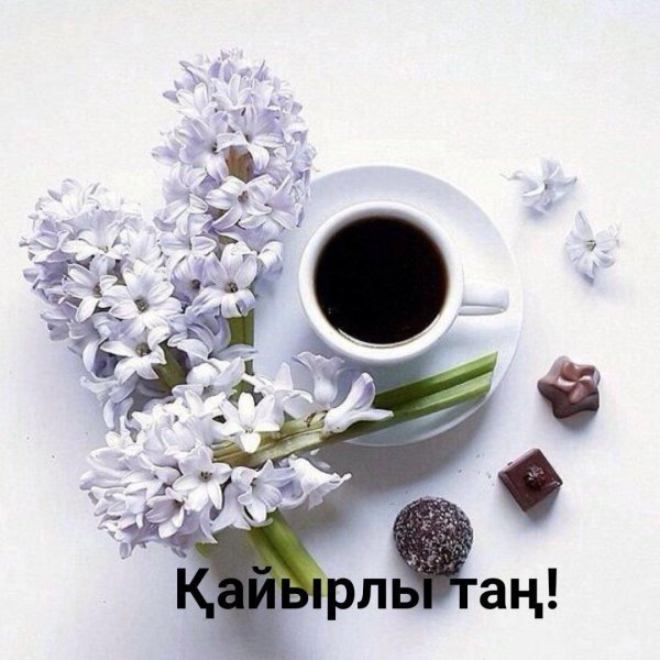 доброе утро гиацинты