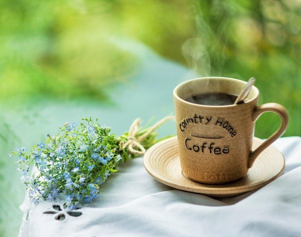 чашка незабудки