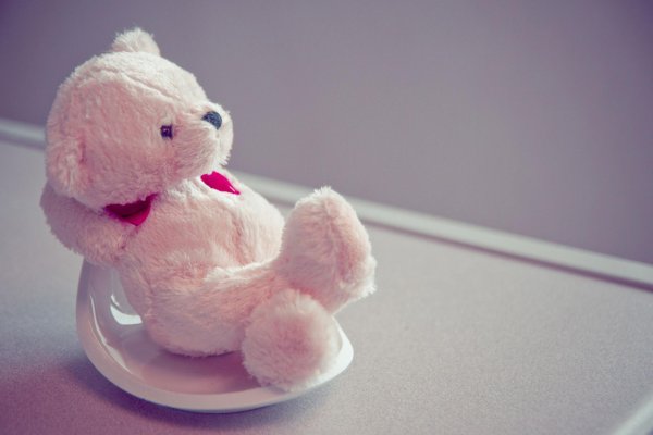 розовый тедди