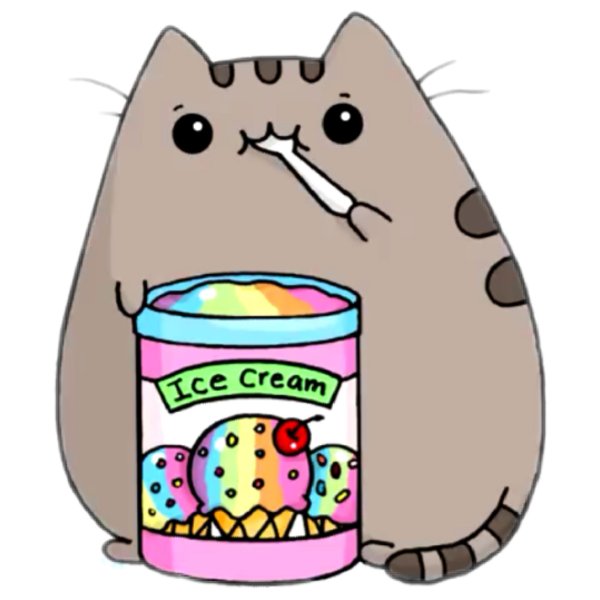 pusheen cat