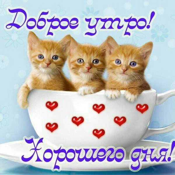 открытки доброе утро