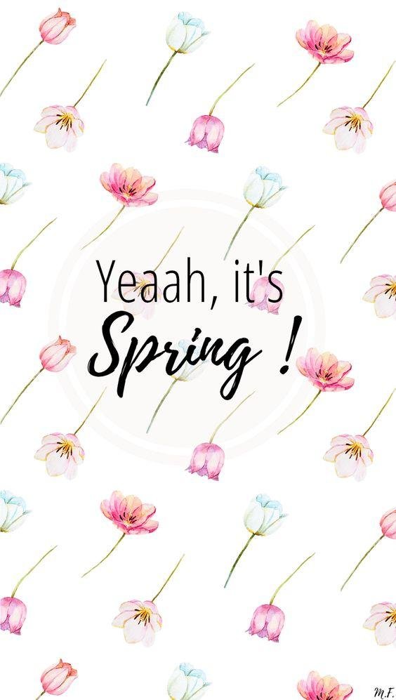 цветочные фоны