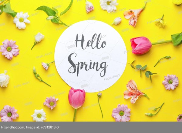 hello spring