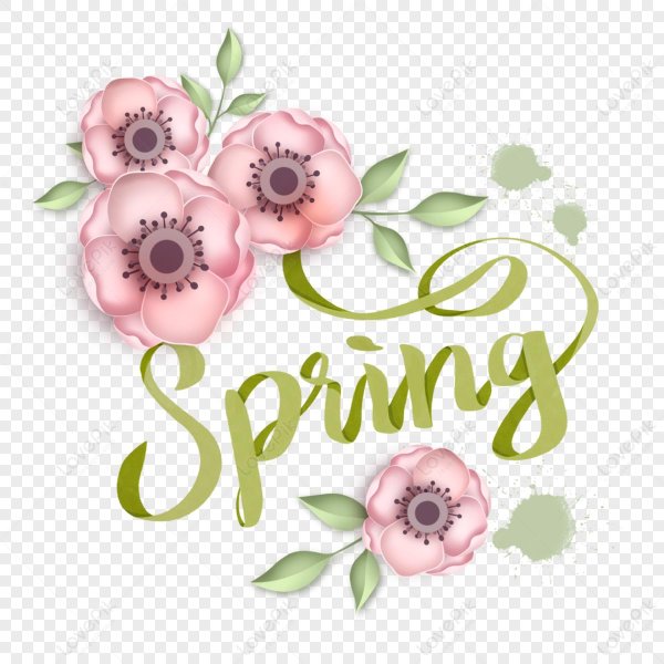 акварельные цветы