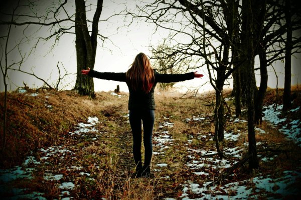 в лесу осенью