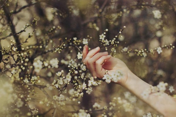 нежные женские руки