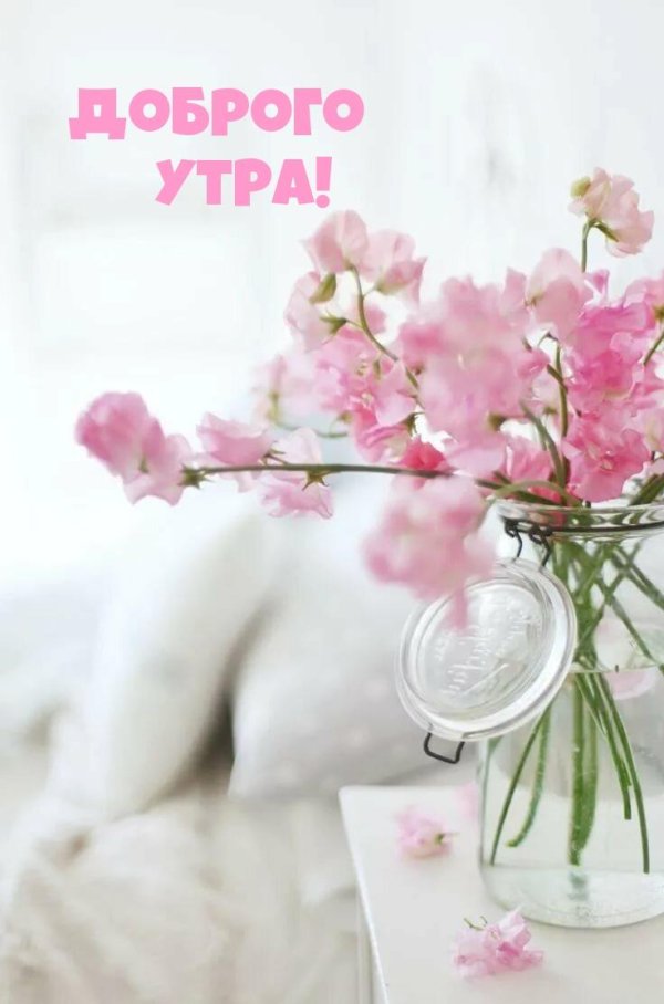 утро нежное