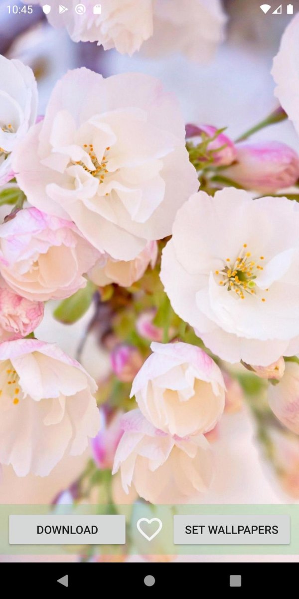 красивая весна