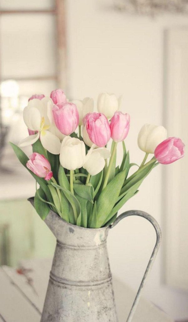 тюльпан в вазе
