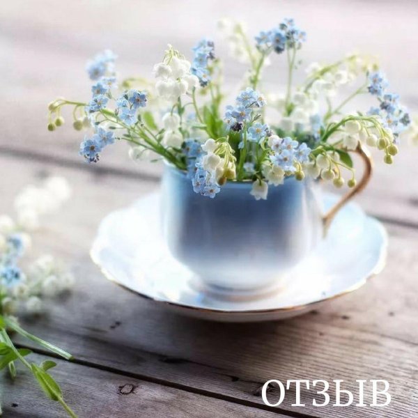 ландыши мускари незабудки