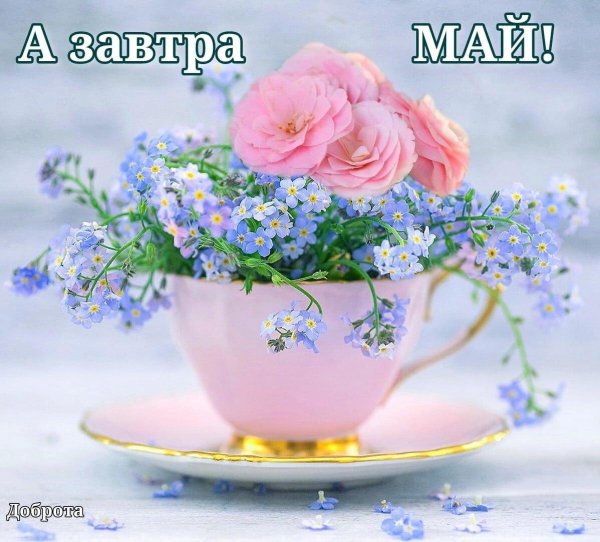 добрый день надежда