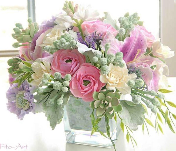 ранункулюс прованс