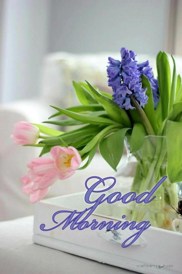 весенняя красота