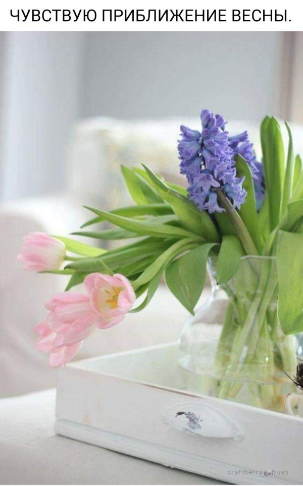 весенняя красота