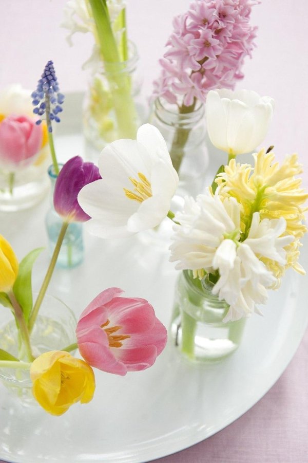 белые тюльпаны