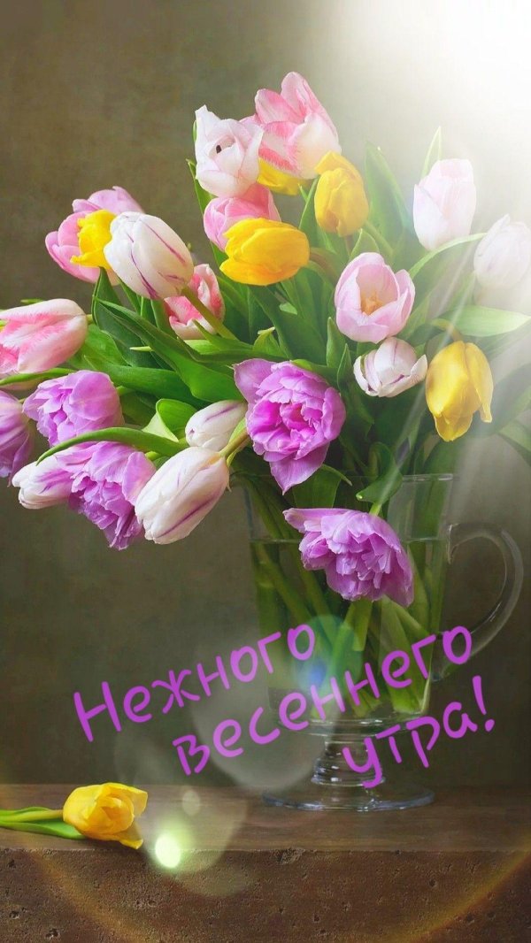 добрейшего весеннего утра