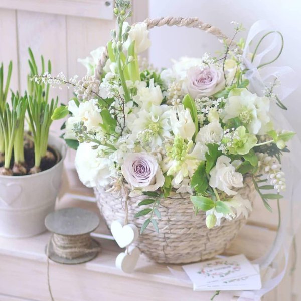 цветочная лавка латирус