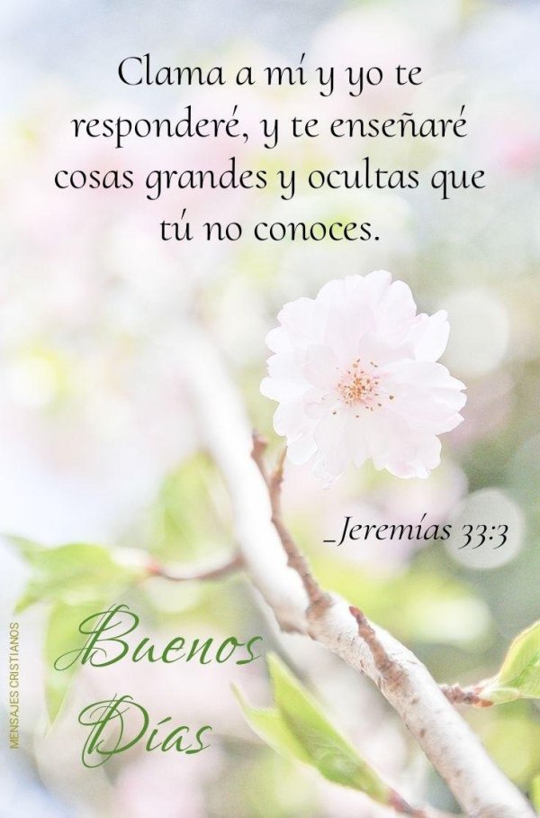 очарование весны