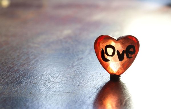 обои любовь