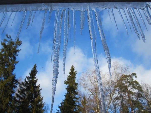 весенняя капель