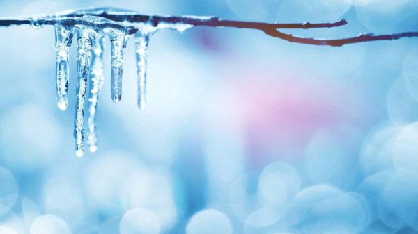 день капкапкапели 22 марта