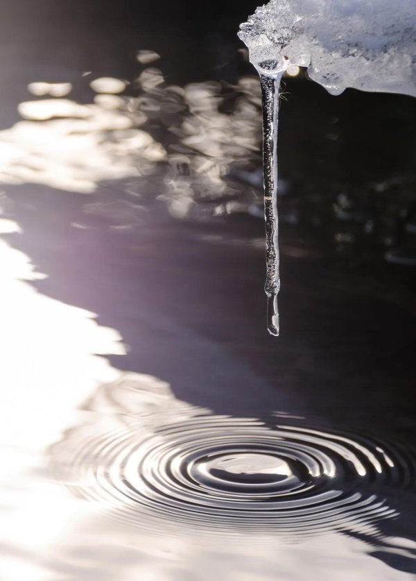 зима природа