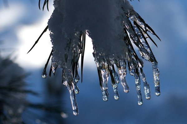 холодная сосулька