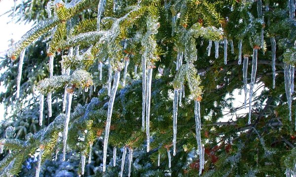 елка с сосульками