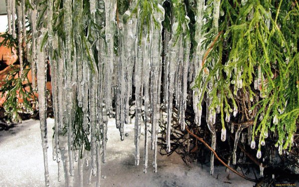 весенняя капель