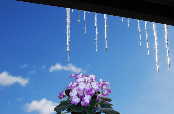 капель весна