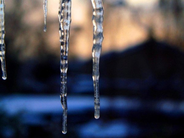 весенняя капель