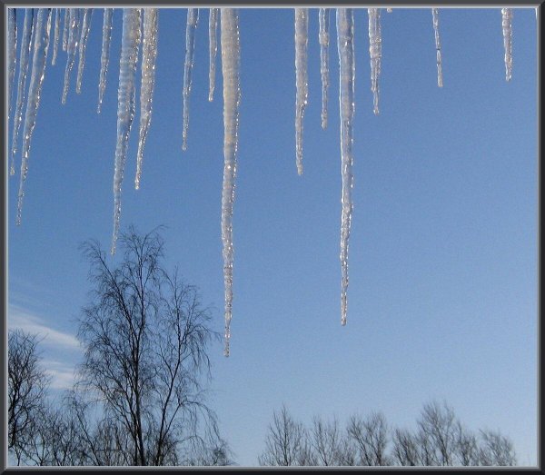 капель весенняя