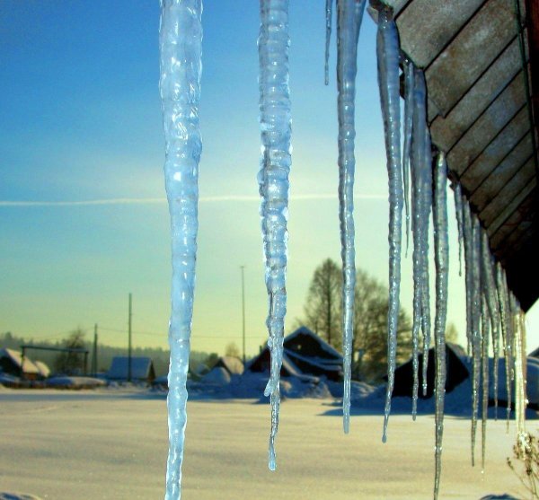 зимние сосульки
