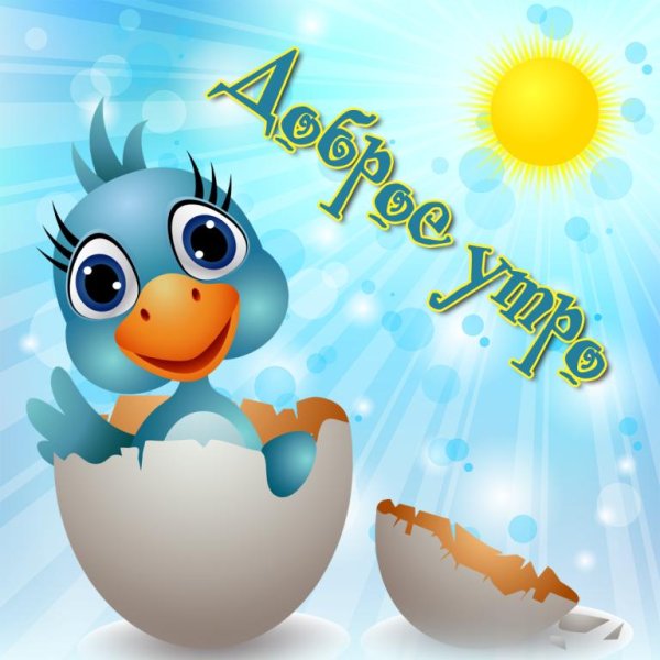 птенчики мультяшные