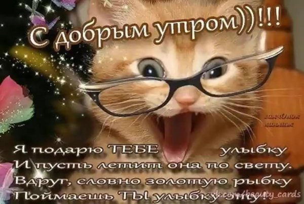 пожелание доброго утра прикольные